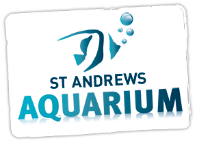 St Andrews Aquarium Discount Codes & Deals