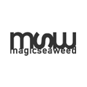 Magic Seaweed