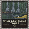 Wild Louisiana Tours