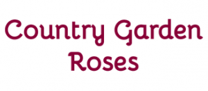 Country Garden Roses