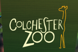 Colchester Zoo Discount Code