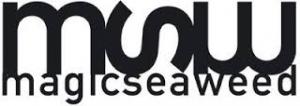 Magicseaweed discount codes