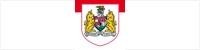 Bristol City Football Club