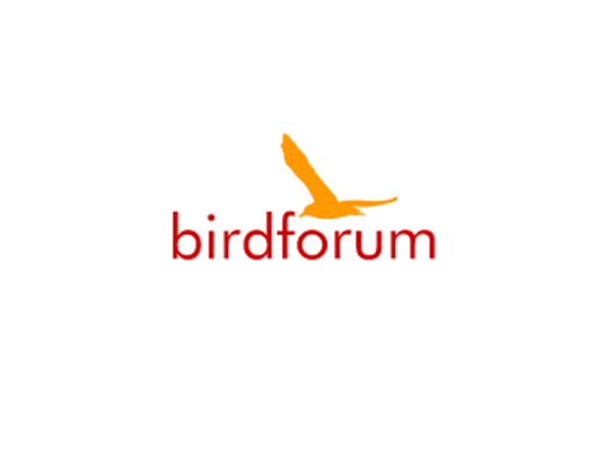 Free Bird Forum Shop Promo & Voucher Codes -
