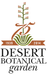 Desert Botanical Garden