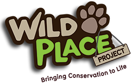 Wild Place Discount Codes & Deals