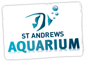 St Andrews Aquarium