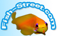 Fish Street