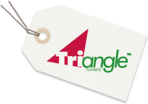 Triangle Nursery