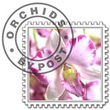 Orchids by Post Discount Codes & Deals