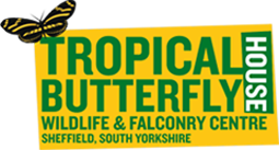 Tropical Butterfly House