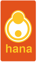 Hana Baby Wrap