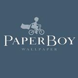 PaperBoy Wallpaper