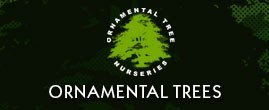 Ornamental Trees Discount Codes & Deals