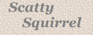 Scatty Squirrel Discount Codes & Deals