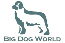Big Dog World Discount Codes & Deals