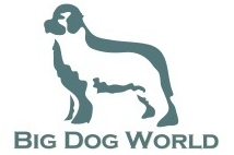 Big Dog World