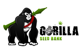 Gorilla Seed Bank Discount Codes & Deals