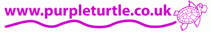 Purple Turtle