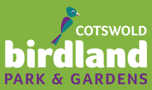 Birdland Discount Codes & Deals