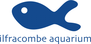 Ilfracombe Aquarium Discount Codes & Deals