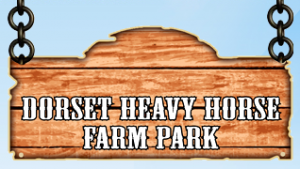 Dorset Heavy Horse Centre