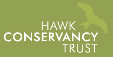 Hawk Conservancy Trust Discount Codes & Deals