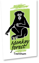 Trentham Monkey Forest