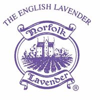 Norfolk Lavender