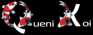 Queni-Koi Discount Codes & Deals