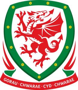 Wales Football Shop Discount Codes & Deals
