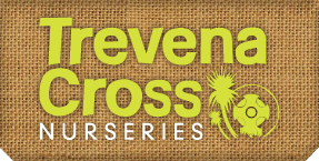 Trevena Cross Discount Codes & Deals