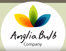 Anglia Bulbs Discount Codes & Deals