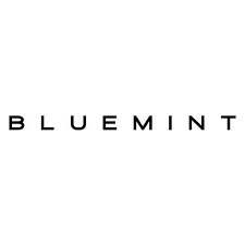 Bluemint Discount Codes & Deals