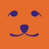 Ginger Ted Discount Codes & Deals