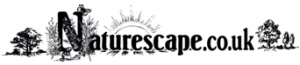 Naturescape Discount Codes & Deals