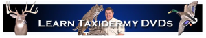 Taxidermy 101 Discount Codes & Deals