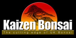 Kaizen Bonsai Discount Codes & Deals