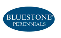 Bluestone Perennials