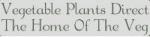 Vegetable Plants Direct Discount Codes & Vouchers